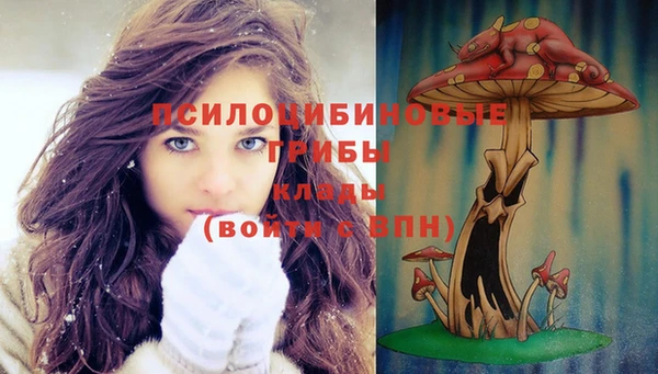 apvp Волосово